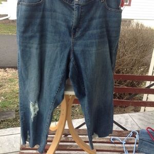 Lane Bryant Jeans - Brand new lane Bryant Jean Capris. Lane Bryant Jeans - Brand new lane Bryant Jean Capris.